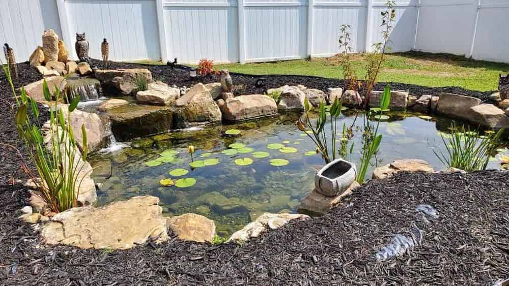 Luxury Water Features & Pool Enhancements image