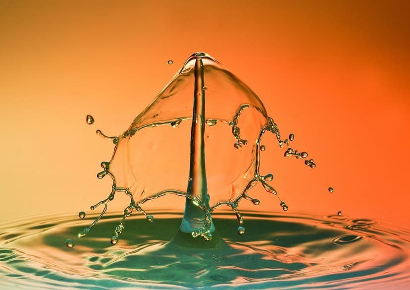 Commitment to Sustainability's image